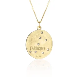 Brooke Gregson Capricorn Astrology Necklace - December 22 to January 19 New
